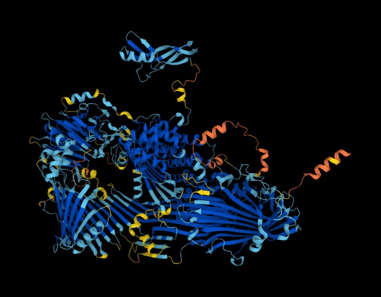 3D protein structure
